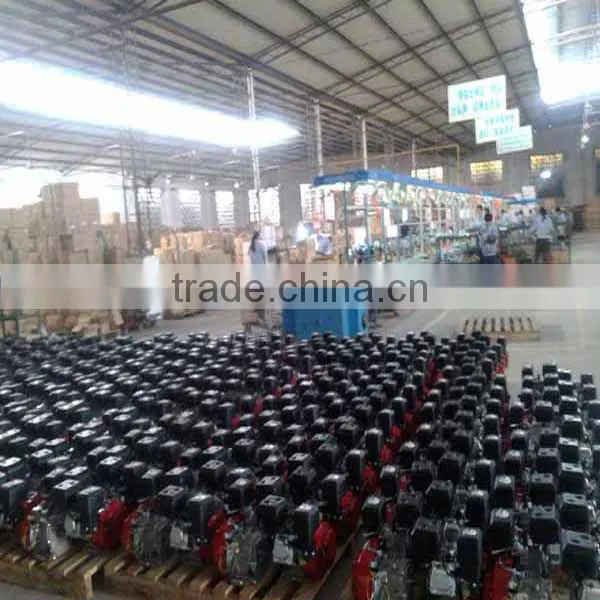 Chinese Brand Gasoline Engine Wiht HP7.0, HP7.5,GX220, 170F Gasoline Engine photo-2