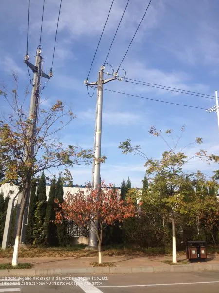 10kv Distribution Momopole photo-2