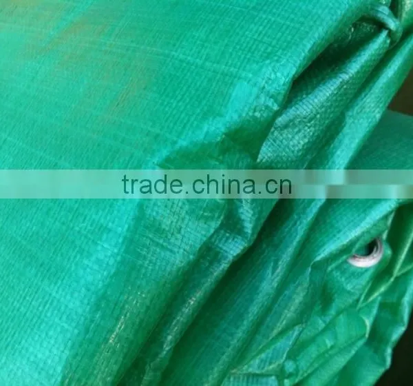 Hot Sale/made in China Rotproof Pe/pvc Tarpaulin photo-2