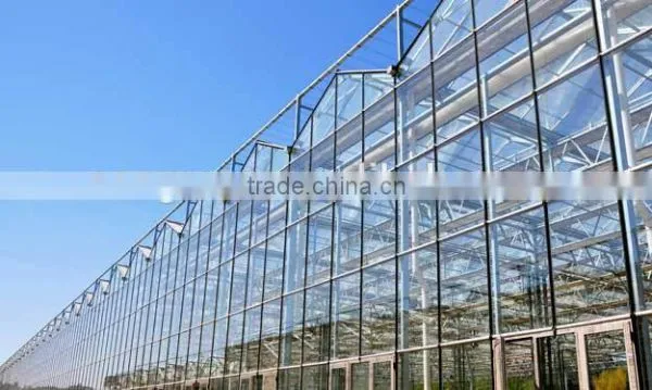 Glass Greenhouse-2 photo-4
