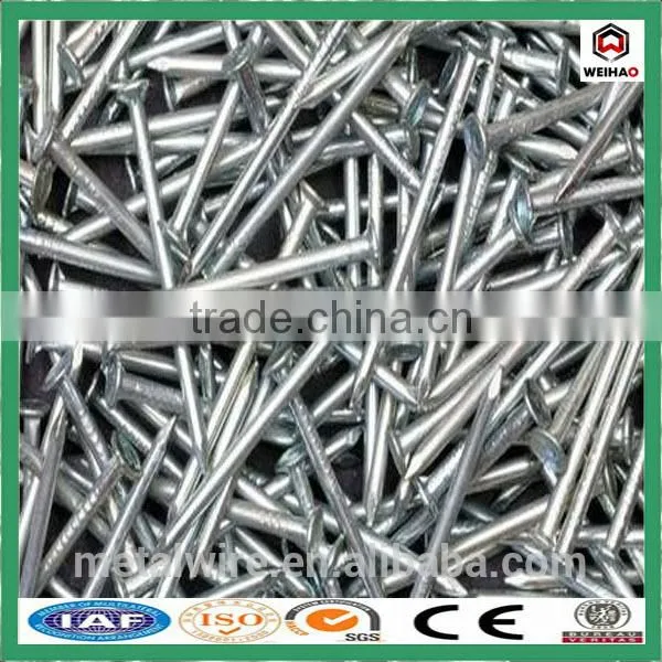 Express Hot Sale Polishing Common Nail Product