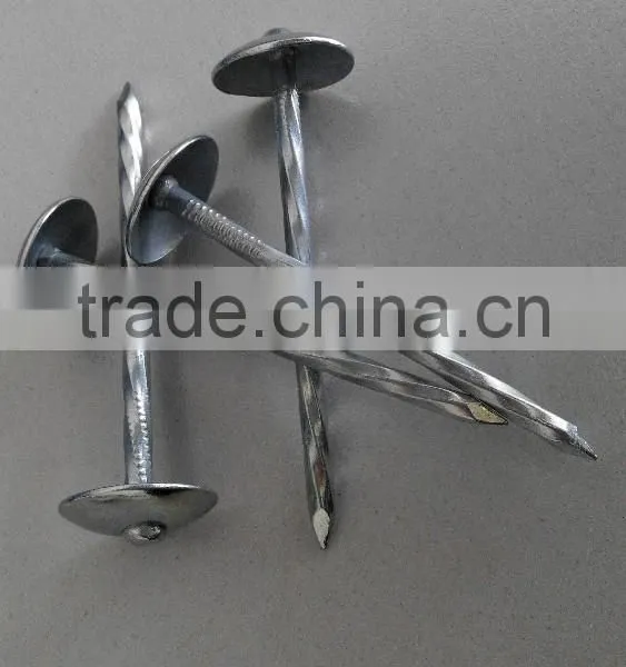 Galvanized Roofing Nails/umbrella Roofing Nails/roofing Nails With Washer photo-2