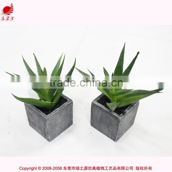 Chinese Factory Artificial Mini Aloe Plant Fake Mini Succulent Potted photo-2