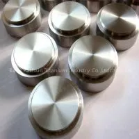 Baoji Eastsun Titanium Specialize in Titanium Block for Eletroplate photo-2
