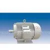Ⅰ.Y Series (IP44) 3-phase Asynchronous Motor