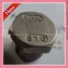 ANSI304/316 Stainless Steel Plug