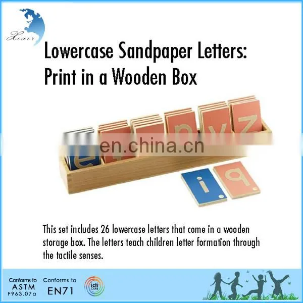 Training Kid Child-care Center Human Anatomy Montessori Equipment photo-2