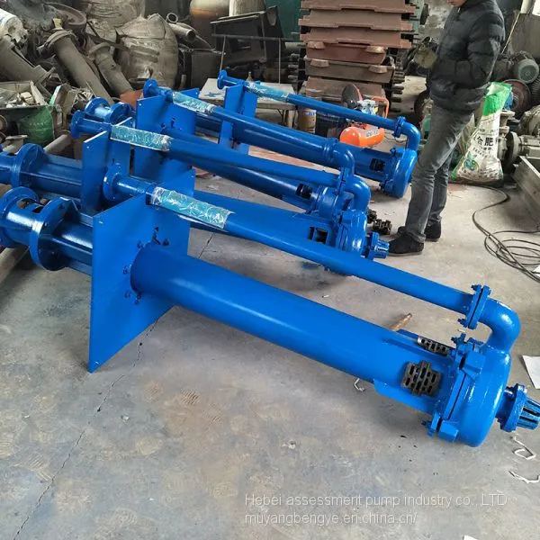 The Assessment of Direct Selling sv - 150 SP (R) Vertical _ _ Under Liquid Centrifugal Slurry Pump photo-3