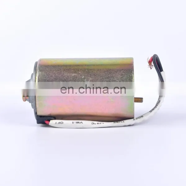 12V 200W Chinese Factory High Quality Low Voltage Permanent Magnet Motor ZDY1256 photo-5