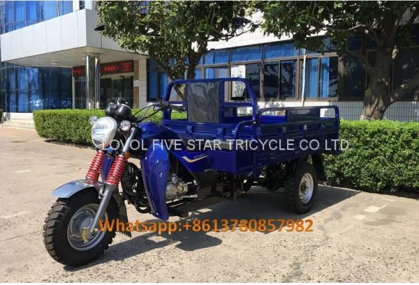 Gasoline Tricycle Cargo Loader Lovol Three Wheeler Mali Ethiopia Ghana Bukina Faso Tanzania Kenya Senegal Togo Benin Nigeira Mauritania Angola Burundi Chad Cameroon C ô te D'Ivoire Gabon Guinea Mozambique Rwanda Congo Uganda Zimbabwe photo-2