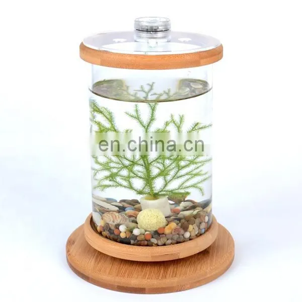Desktop Eco Bottle Creative Office Tempered Glass Micro Landscape Tank Rotating Bedroom Fish Tank Fish Tank Mini Small photo-5