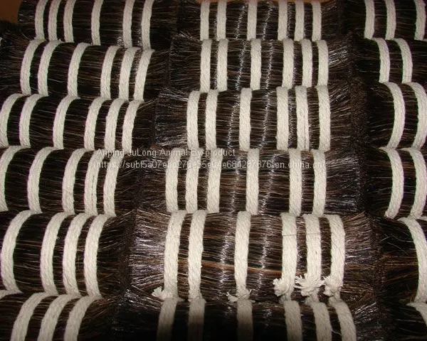 Horse Tail Hair