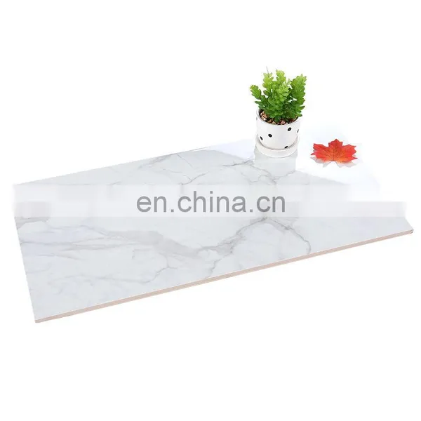Brand New Ceramic Best Floor Tiles With Low Price photo-5