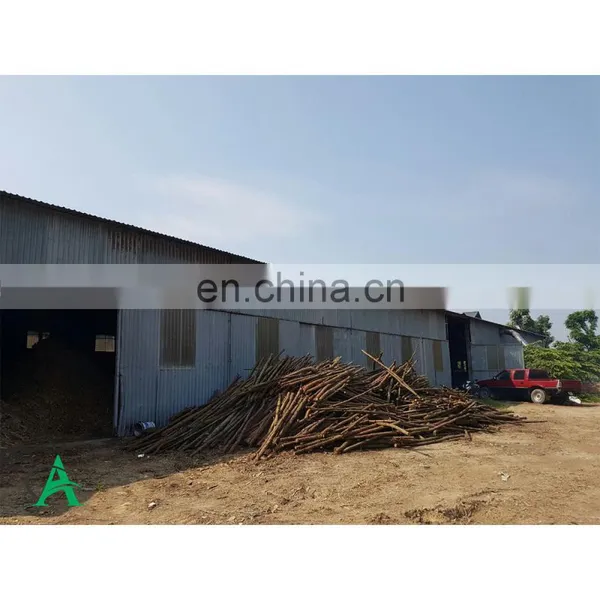 Dried Corn Silage Pellets / Dried Maize Silage From Vietnam for Animal Feed Pressed Block Pellet or PP Bags photo-4