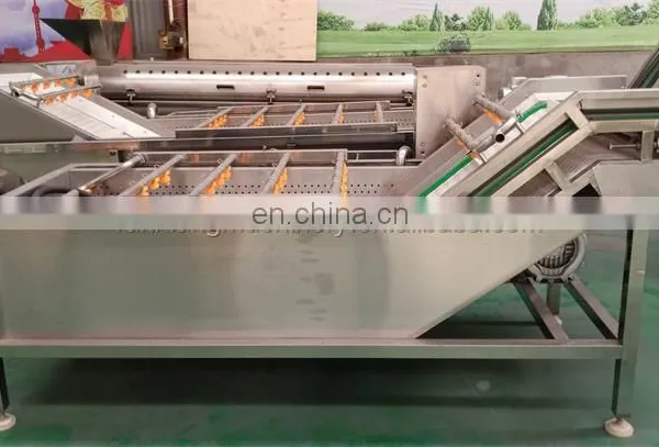 Latest Design Salad Leafy Vegetable Processing Washing Machine photo-2