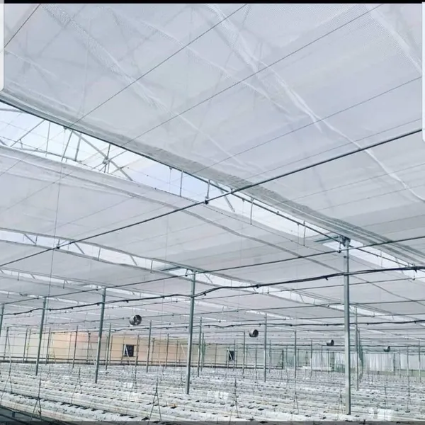 Manufacturers Greenhouse Energy Saving Screen photo-5