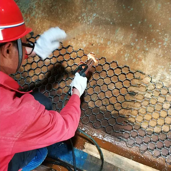 Manufacturer of Stainless Steel Hex Grid Mesh (SS316) Wire for Refractory Linings Welding Processing Service photo-4