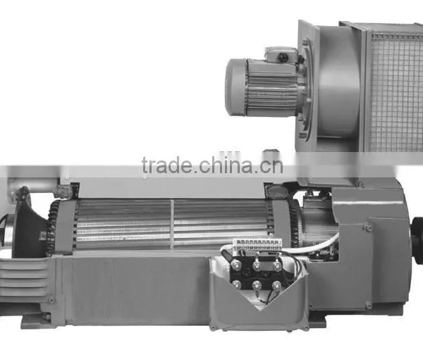 Tubular Motor Outboard Motor DC Motor Y Series 6-10KV Squirrel Cage High Voltage Three Phase Asynchronous Motor (710-1000)mm) photo-2