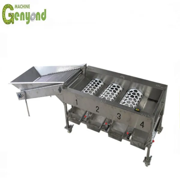 Blueberry Sorting Cherry Tomato Cherry Separator Color Sorter Machine photo-3