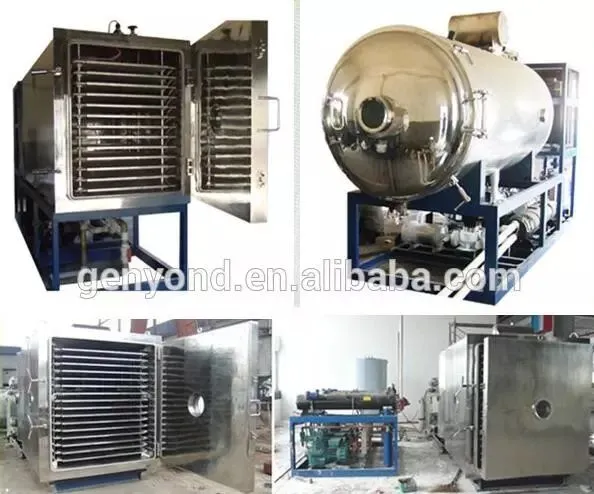 Shanghai Vacuum Freeze Dryer / Lyophilizer Machine for Industrial Fruit and Vegetables photo-3
