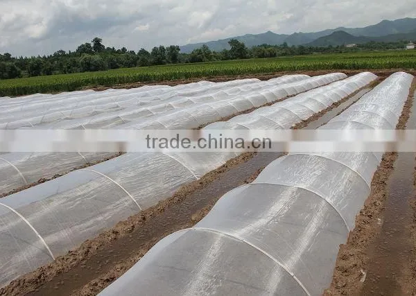 100% Virgin HDPE Agricultural Plant Insect Mesh photo-6