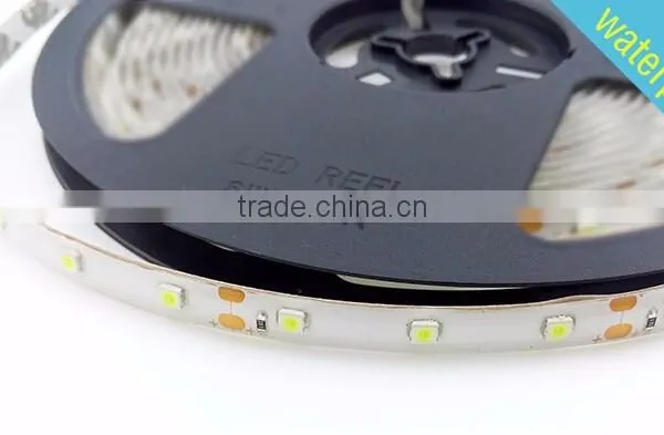 5M 5050 3528 RGB Led Strip 12V Fleible Light Strip Lamp 300 LED Tape Home Wedding Decoration Lamps photo-6