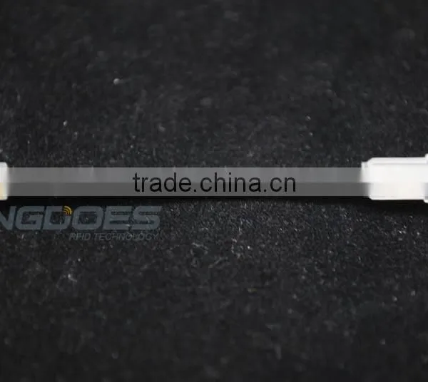 Mini Animal Microchip Syringe in Stock photo-3
