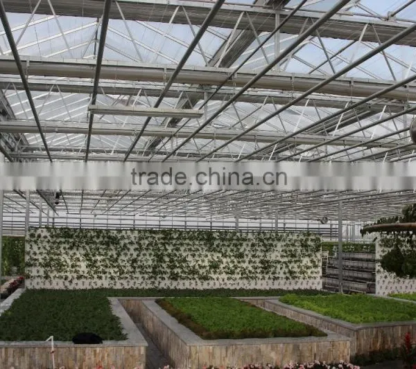 PC Sheet Greenhouse photo-3