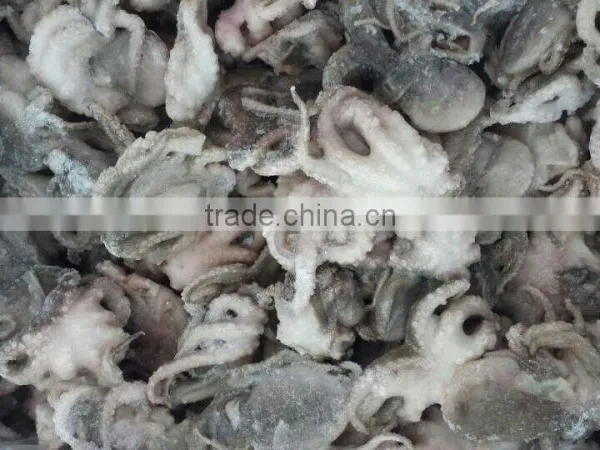 FROZEN OCTOPUS (FLOWER) photo-4
