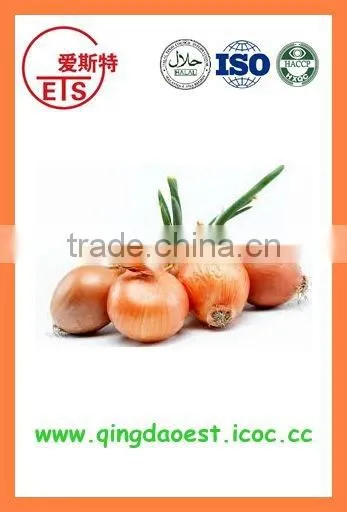 Supply Bulk Best Quality Fresh Red Onion and Yellow Onion and White Onion photo-6