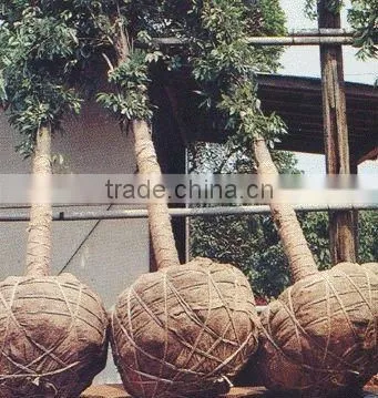 100% Jute Natural Plain Knitted Hessian Cloth / Burlap photo-4