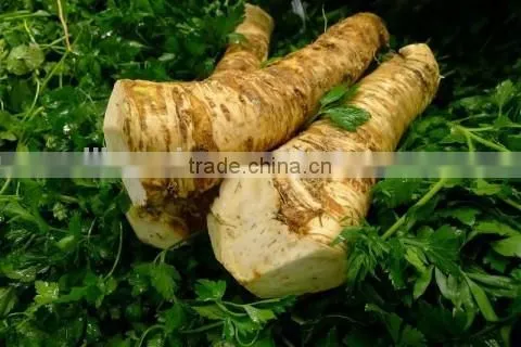 First Class Horseradish
