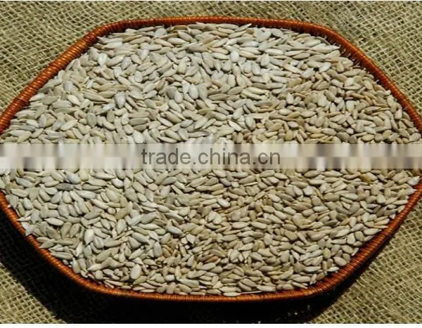 Organic Sunflower Kernels for Confectionary Grade
