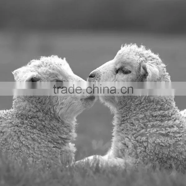 JX Industrial Washer for Sheep Wool, Factory-outlet,Quality Assurance photo-5