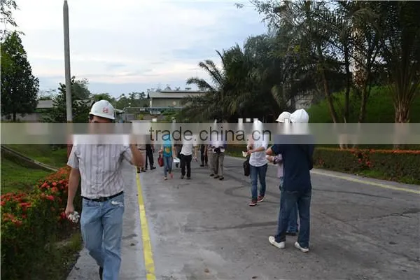Sinar Mas Group Partner 5TPH Palm Oil Press Machine photo-5