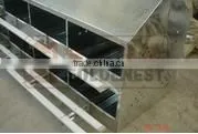 12 Hole Chicken Egg Nest photo-2