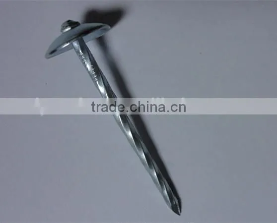 Hot Sales! China Factory Supply High Quality Galvanized Umbrella Head Roofing Nails photo-2