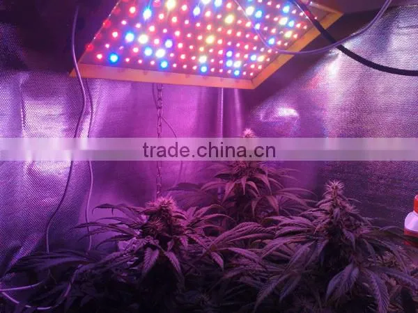 China Factory Newest Product MarsPro 128 LED Grow Light Full Spectrum 5w Chips High Power Light Hydroponics Indoor Lighting photo-5