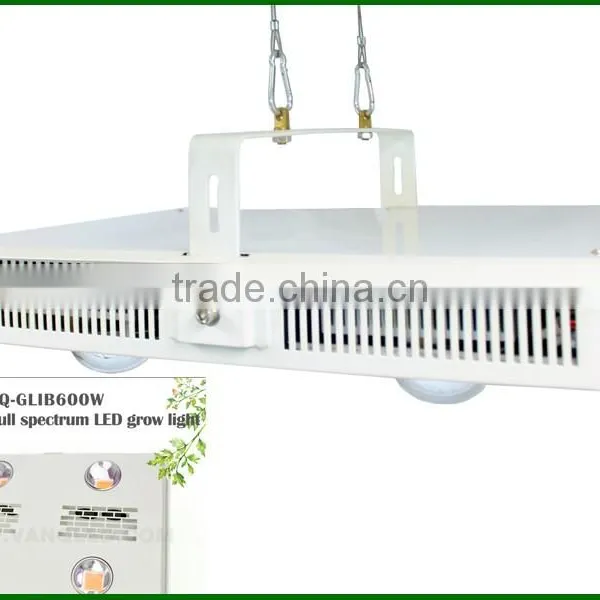 Cob Led Grow Lights 600 W Indoor Light to Grow Plants photo-3