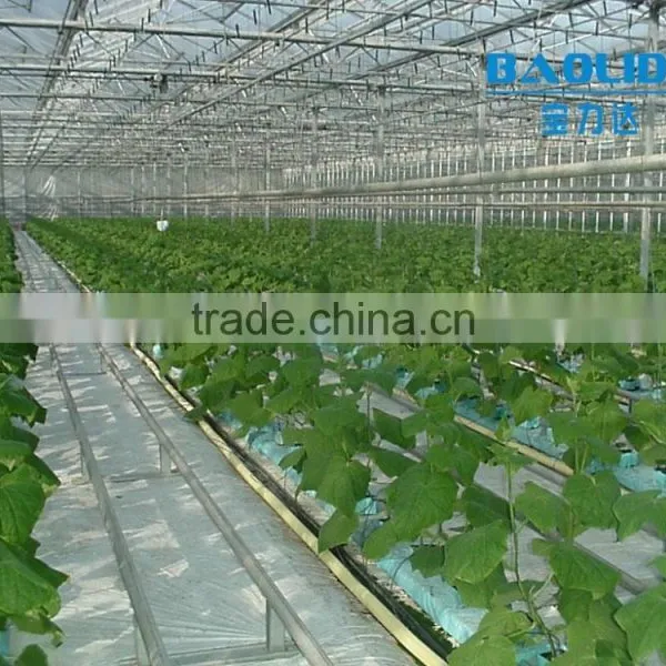 Baolida Low Cost High Performance Polycarbonate Greenhouse photo-3