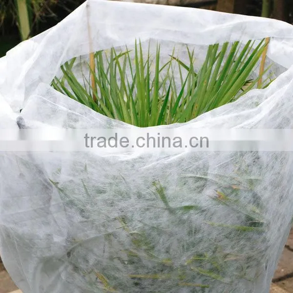 PP Mulch Fleece , Frost Protection Fleece (50g/m2) photo-3