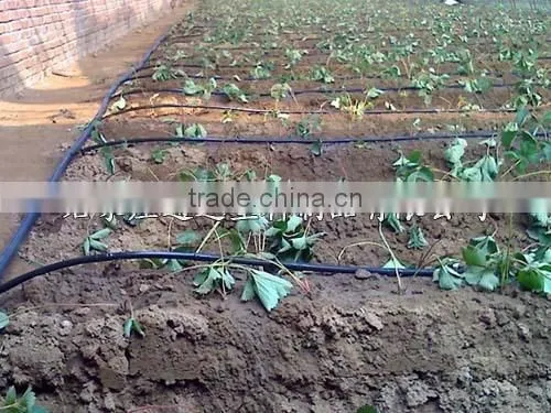 Drip Pipe With Round Dripper photo-5