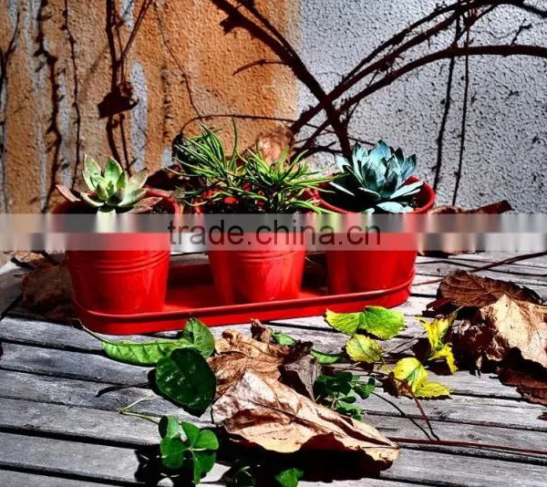 Metal Planters Set Metal Flower Pot Set With Tray for Home Decor photo-4