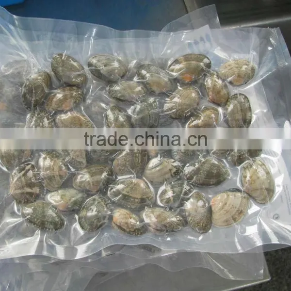 Gray Color Frozen Baby Clam photo-3