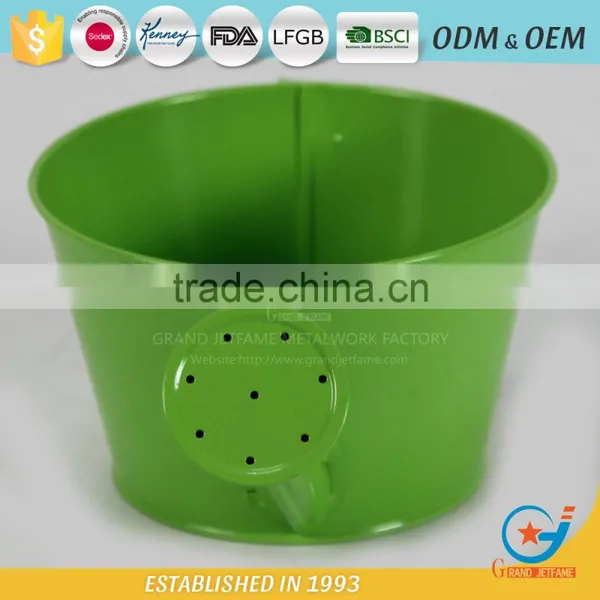 Iron Powder Coating Water Plant for Flowers Floral Watering Can photo-3