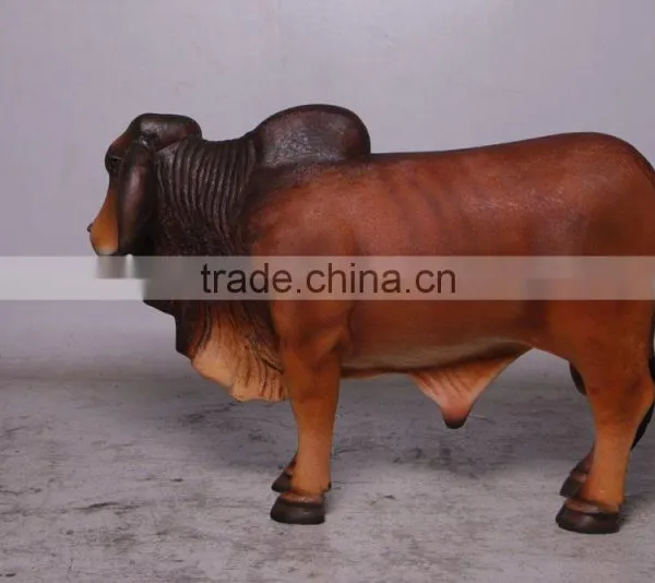 Definitive Brahman Looking Right photo-3