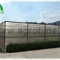 Insect Net House