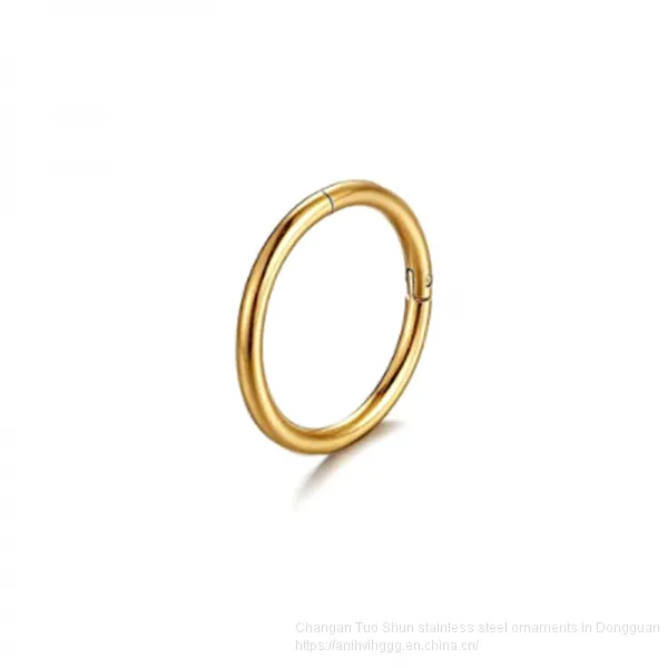 Ins Hot Stainless Steel, Stainless Steel Titanium Steel Earrings Earrings, Nose Studs, Human Body Piercing, Foreign Trade Manufacturers Wholesale photo-5