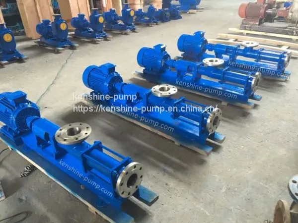 G Series Eccentric Helical Single Screw Pump photo-5