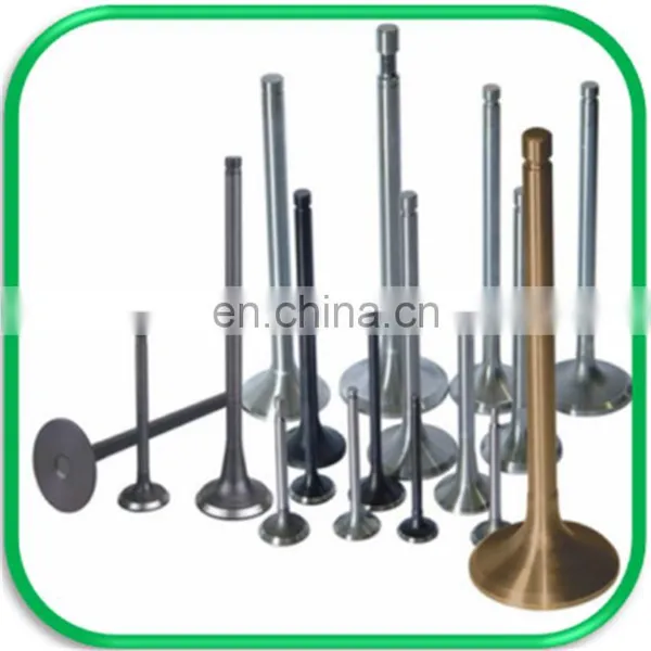 Pit Bike Dirt Bike off Road Parts Engine Valve for 150cc Race Engine Daytona photo-2